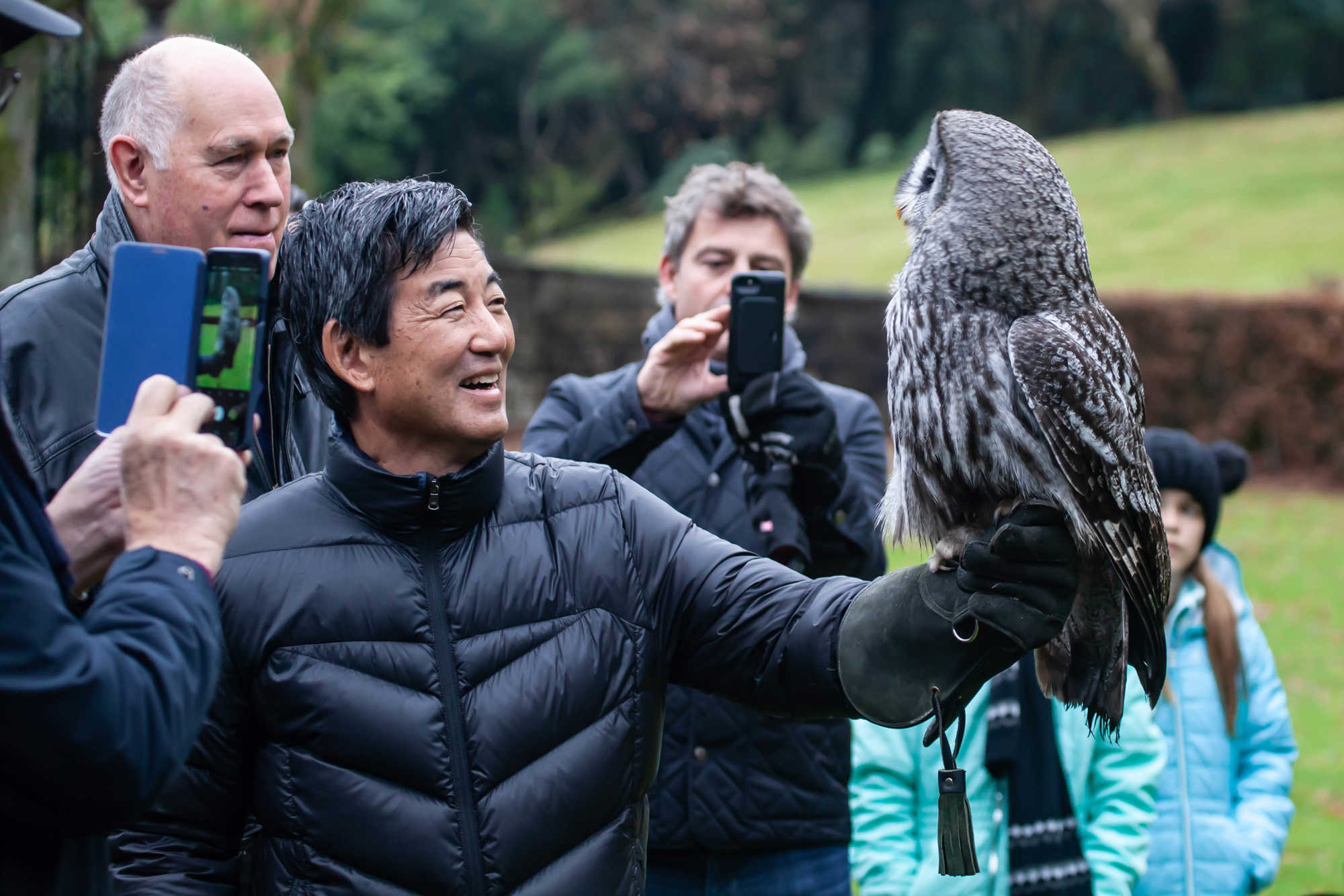 Glenapp Castle falconry