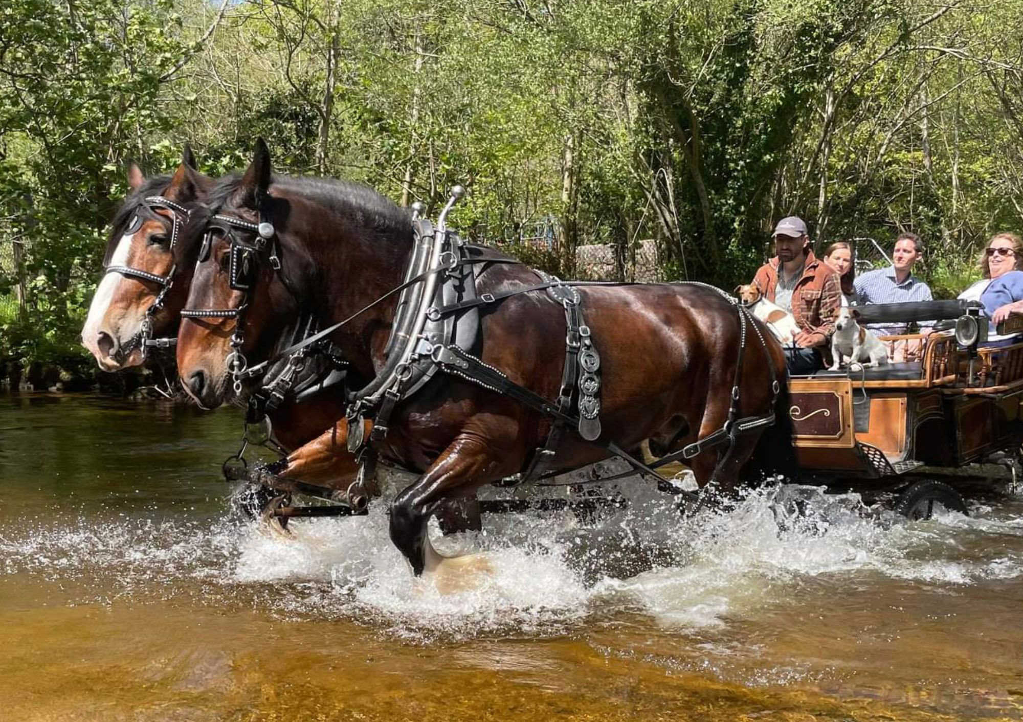 Bovey Castle activities