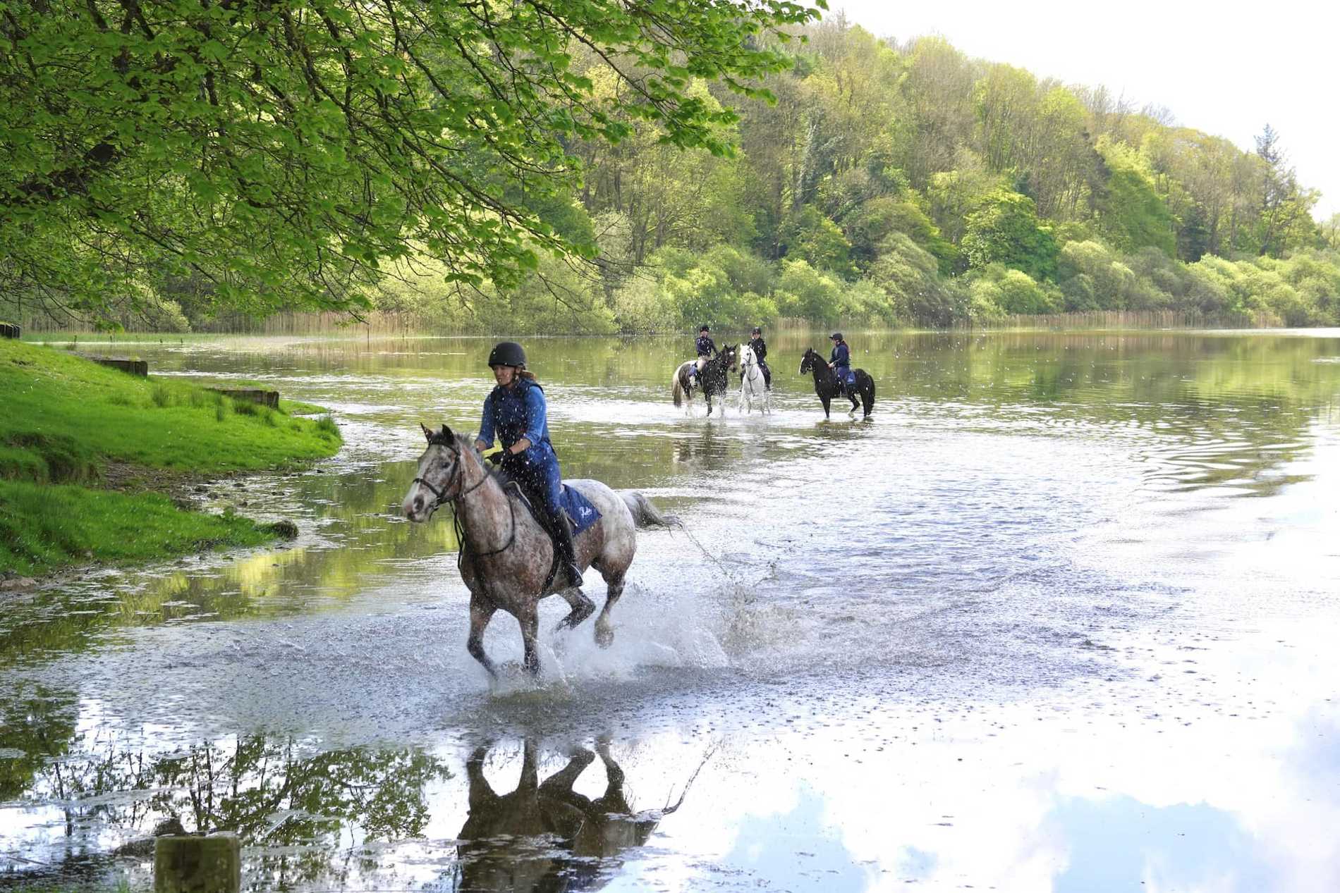 Castle Leslie - Equestrian